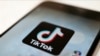 TikTok платформасы. 