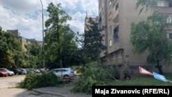 Novi Sad, 22. jul