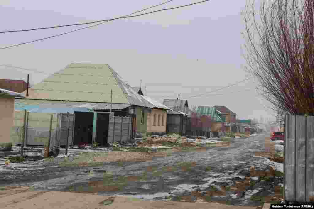 Мурас-Ордо жаңы конушунун аянты 145 гектарга жакын. 