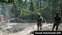 У Польщі за період від січня до кінця жовтня 2024 року затримано 195 громадян України за сприяння нелегальним мігрантам у незаконному перетині кордону з Білоруссю