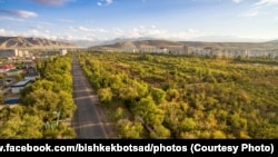 Kyrgyzstan. Bishkek. Botanical Garden. Botany garden.