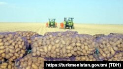 Ýeralma meýdany. Türkmen döwlet habarlar gullugynyň (TDH) websaýtyndan alnan surat.