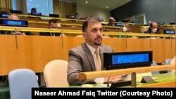 نصیر احمد فایق، سرپرست نمایند‌گی دایمی افغانستان در سازمان ملل متحد