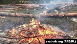 Вогнішча, кінутае без нагляду