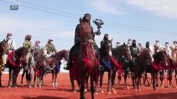 سعودي عرب کې ښځو په لومړي ځل د اوښانو مېله کې برخه اخېستې