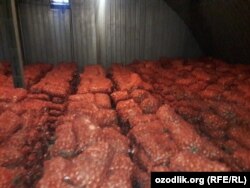 Склад одного из ташкентских рынков, в котором хранился испорченный лук.