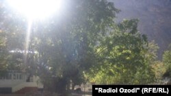 Язгулом в ГБАО Таджикистана