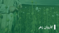  نصیراحمد: برادرم با فریب معتادم ساخت 