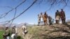 Pakistan Says Eight Militants, Two Soldiers Killed In Clash On Afghan Border