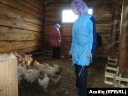 Кызлар тавыкларны ашата