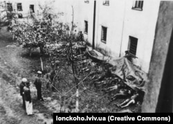 Впізнання загиблих у Бригідках. 3 липня 1941 року