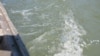 Reka Drina