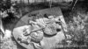 Image result for чыгір