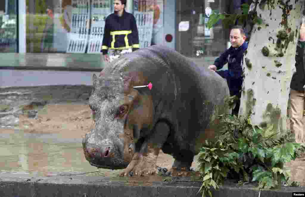 Gürcüstan_Tbilisi__14 İyun 2015 Reuters