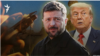 Илустрација