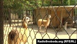 Докучаєвський зоопарк