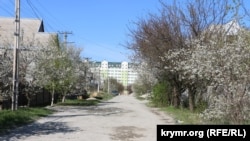 Одна з вулиць у Фонтанах