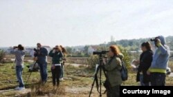 Posmatranje ptica
