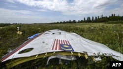 Уламок літака рейсу MH17, збитого над Донбасом, липень 2014 року