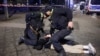 Немцойн полиссхоша шеконашца волу стаг лоцу. Гайтаман сурт
