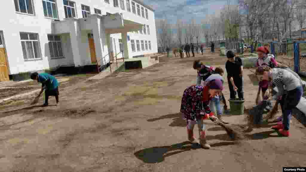 Шайн хIусаман терго а, Iуналла а до бераша.