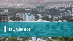 Чӣ гуна марзбонҳои Ӯзбакистон чӯпонҳои тоҷик ва моли онҳоро бурданд?