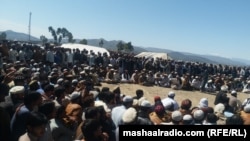 د احتجاحي ناستې عکس 
